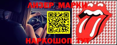 шишки Ставрополь