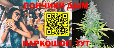 дмт Сланцы