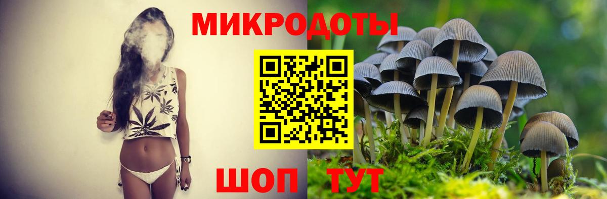 Псилоцибиновые грибы Cubensis Павловский Посад